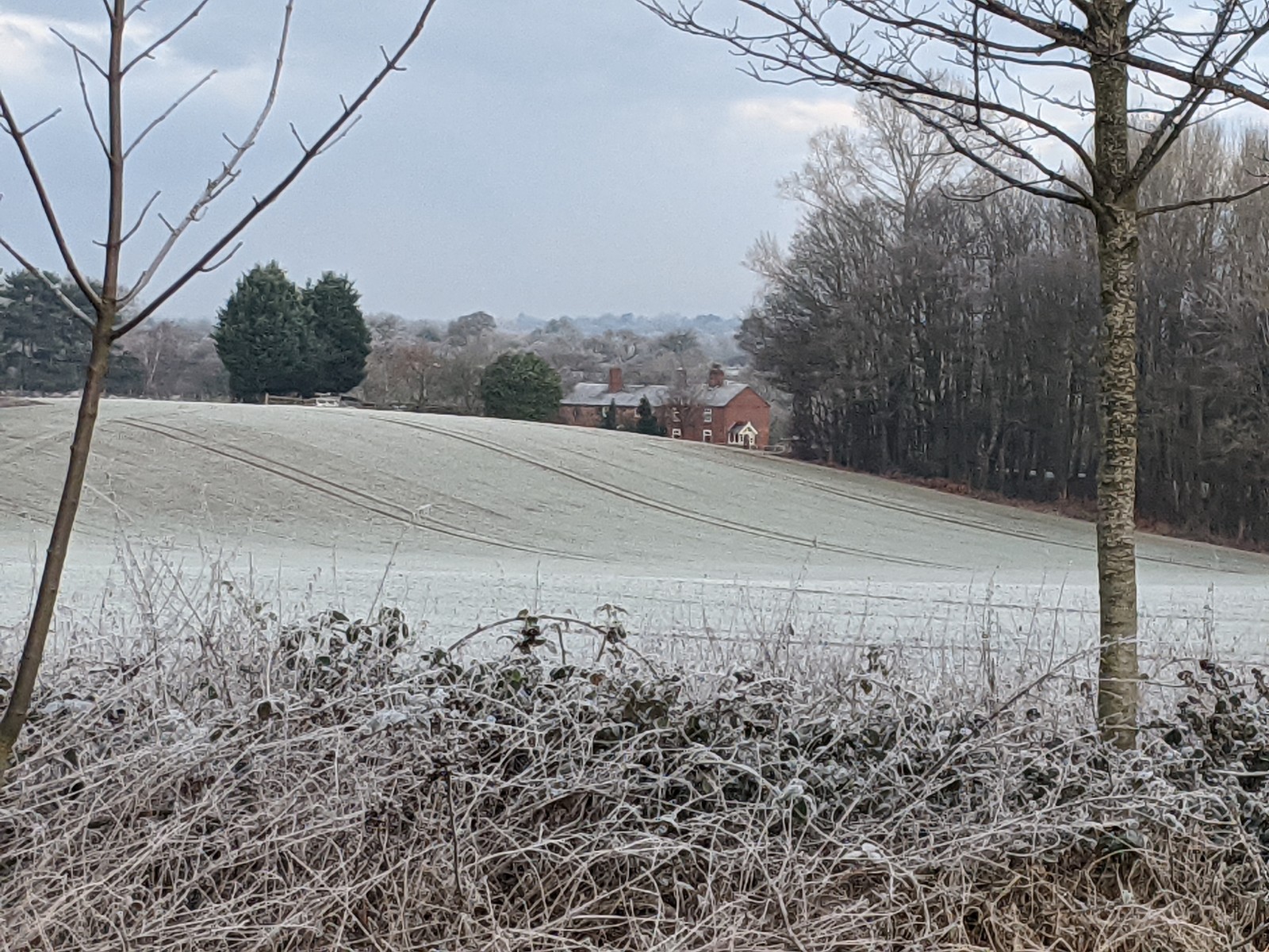 A frosty day in Hankelow, January 7th